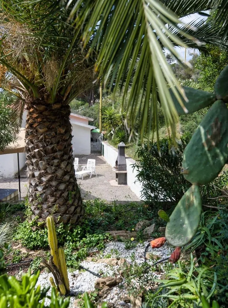 Holiday home Alloggi Del Mirto A Morcone - Goelba Capoliveri
