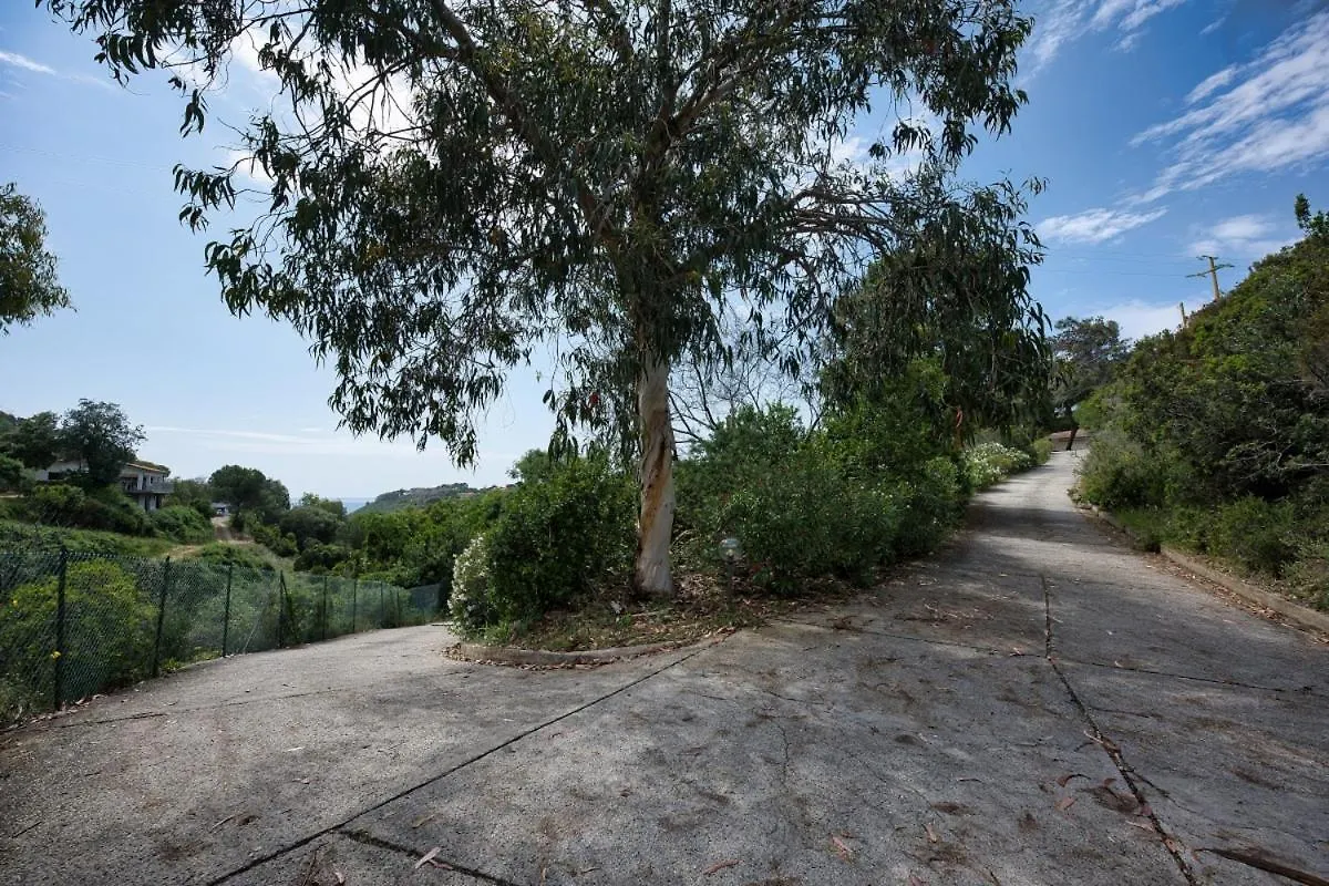 Holiday home Alloggi Del Mirto A Morcone - Goelba Capoliveri